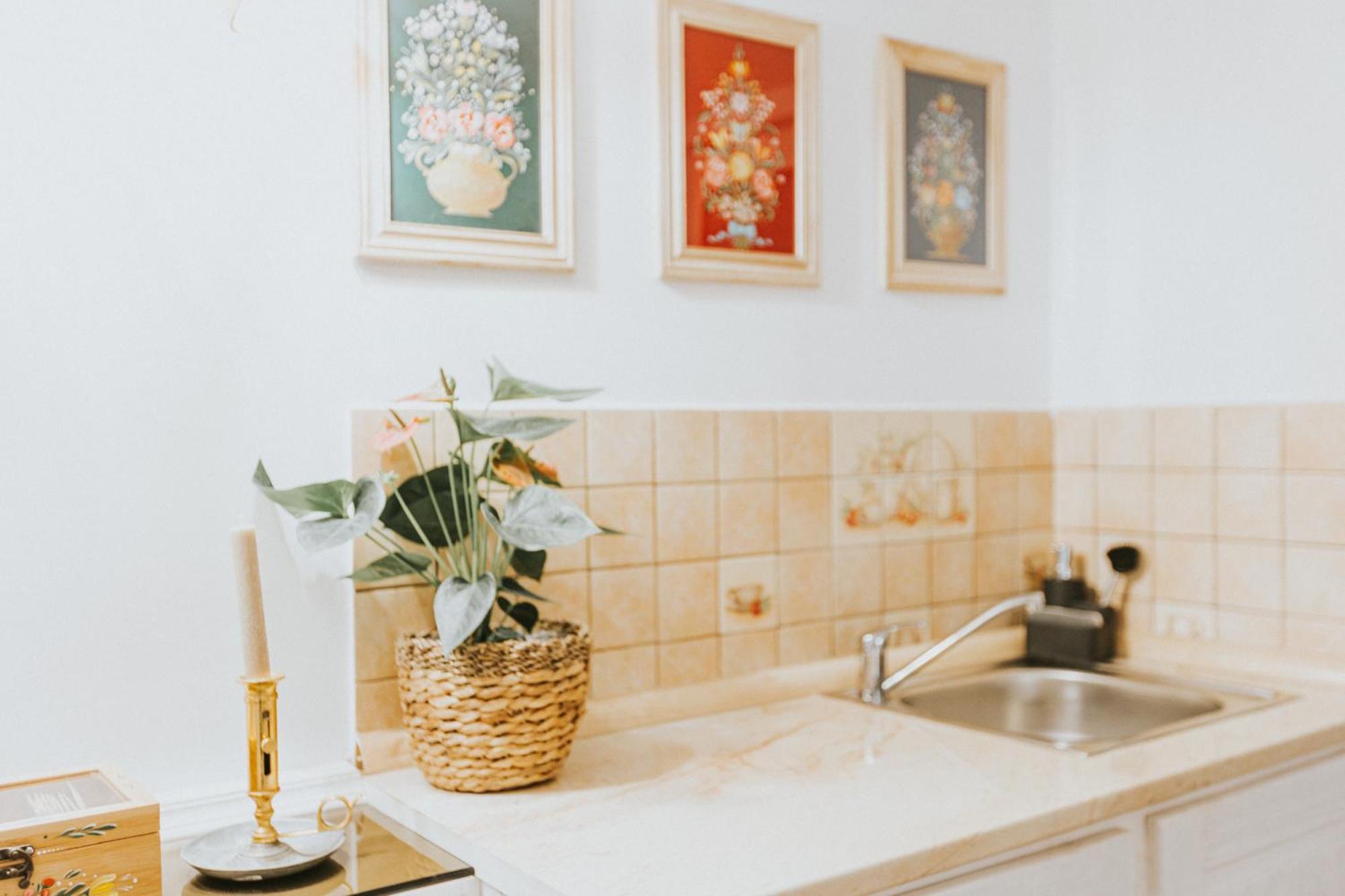 Republicii Rustic Apartament In Brasov City Center ภายนอก รูปภาพ