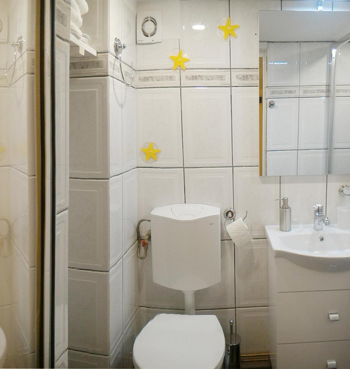 Republicii Rustic Apartament In Brasov City Center ภายนอก รูปภาพ